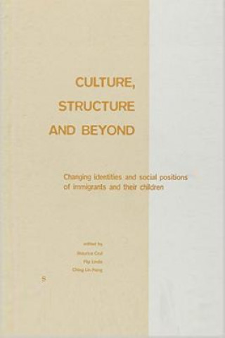 Culture, Structure and Beyond