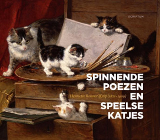 Spinnende poezen en speelse katjes