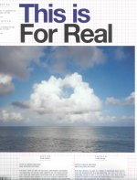 For Real: Proposal for Municipal Art Acquisitions Stedelijk Museum Amsterdam 1999-2000
