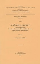 Il Senodos Etiopico. Canoni Pseudoapostolici: Canoni Dopo L'Ascensione, Canoni Di Simone Cananeo, Canoni Apostolici, Lettera Di Pietro: T.