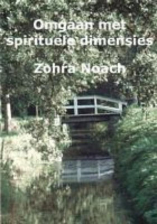 Omgaan met Spirituele dimensies / druk 2