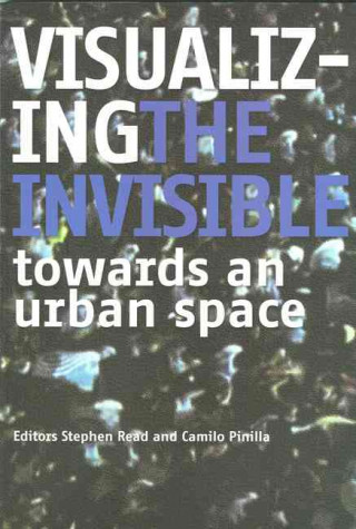 Visualizing the Invisible: Towards an Urban Space