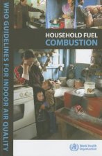 Who Indoor Air Quality Guidelines: Household Fuel Combustion