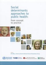 Social Determinants Approaches to Public Health: From Concept to Practice
