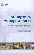 Valuing Water, Valuing Livelihoods