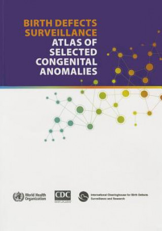 Birth Defects Surveillance