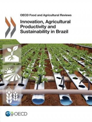 Innovation, agricultural productivity and sustainability in Brazil