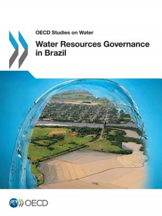 Water resources governance in Brazil
