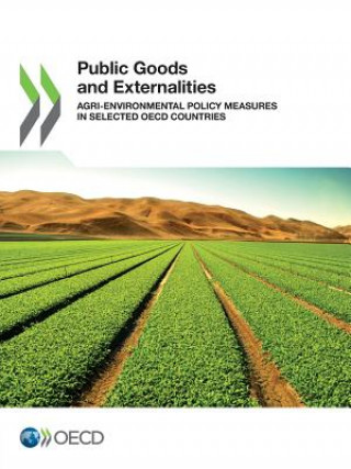 Public goods and externalities