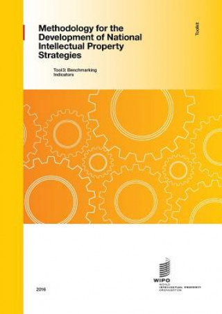 Methodology for the Development of National IP Strategies Toolkit - Tool 3