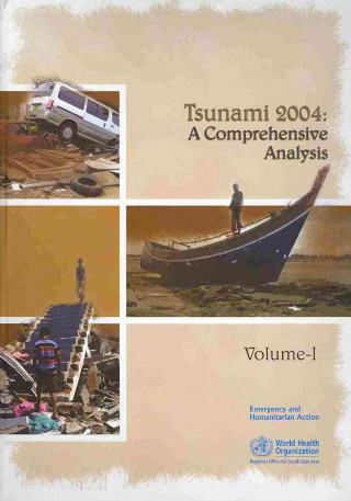 Tsunami 2004: A Comprehensive Analysis
