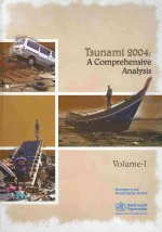 Tsunami 2004: A Comprehensive Analysis