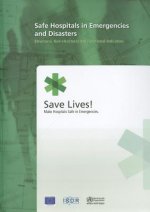 Safe Hospitals in Emergencies and Disasters: Structural, Non-Structural and Functional Indicators
