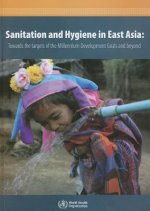 Sanitation and Hygiene in East Asia: Towards the Targets of the Millennium Development Goals and Beyond