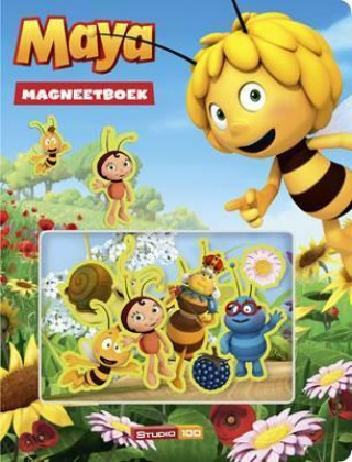 Magneetboek