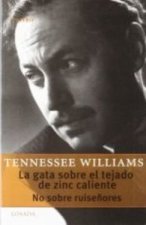 GATA SOBRE EL TEJADO DE ZINC