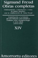 Obras completas Vol. XIV: «Contribución a la historia del movimiento psicoanalítico», Trabajos sobre metapsicología, y otras obras (1914-1916)