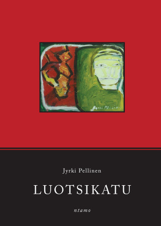 Luotsikatu