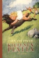 Kiljusen Plättä