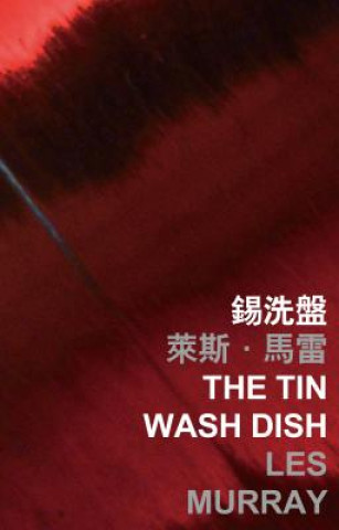 Tin Wash Dish