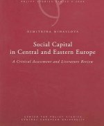 Social Capital in Central and Eastern Europe: A Critical Assessment and Literature Review