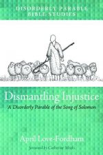 Dismantling Injustice