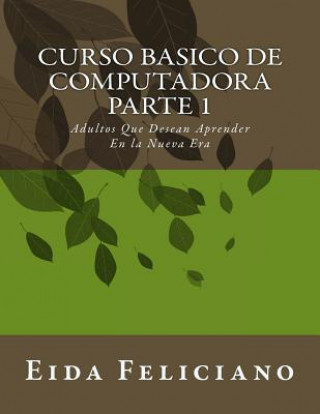 Curso básico de computadora / Basic computer course
