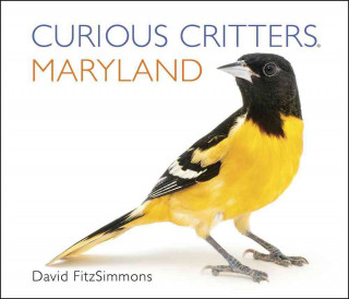 Curious Critters Maryland