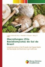 Macrofungos (Filo Basidiomycota) do Sul do Brasil