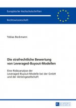 strafrechtliche Bewertung von Leveraged-Buyout-Modellen; Eine Risikoanalyse der Leveraged-Buyout-Modelle bei der GmbH und der Aktiengesellschaft