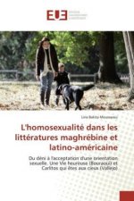 L'homosexualité dans les littératures maghrébine et latino-américaine