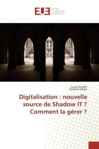 Digitalisation : nouvelle source de Shadow IT ? Comment la gérer ?