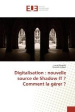 Digitalisation : nouvelle source de Shadow IT ? Comment la gérer ?