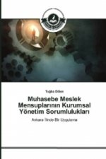 Muhasebe Meslek Mensuplarinin Kurumsal Yönetim Sorumluluklari