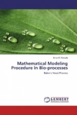 Mathematical Modeling Procedure in Bio-processes