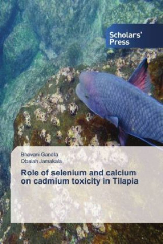 Role of selenium and calcium on cadmium toxicity in Tilapia