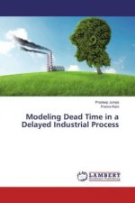 Modeling Dead Time in a Delayed Industrial Process