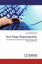 Dual Stage Steganography
