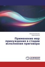 Primenenie mer prinuzhdeniya v stadii ispolneniya prigovora