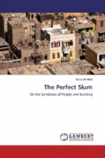 The Perfect Slum
