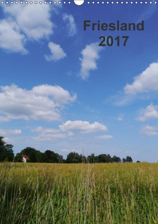 Friesland (Wandkalender 2017 DIN A3 hoch)