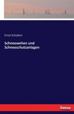 Schneewehen und Schneeschutzanlagen