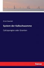 System der Kalkschwamme