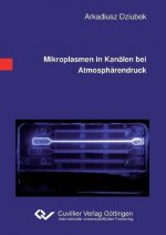 Mikroplasmen in Kanälen bei Atmosphärendruck