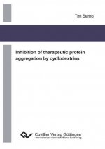 Inhibition of therapeutic protein aggregation by cyclodextrins