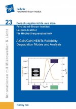 AlGaN/GaN HEMTs Reliability. Degradation Modes and Analysis
