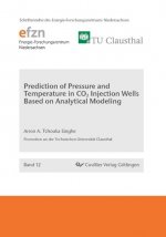 Prediction of Pressure and Temperature in CO2 Injection Wells Based on Analytical Modeling (Band 12)