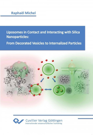 Liposomes in Contact and Interacting with Silica Nanoparticles: From Decorated Vesicles to Internalized Particles.
