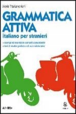 Grammatica attiva. Italiano per stranieri. A1-B2