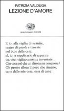 Lezione d'amore